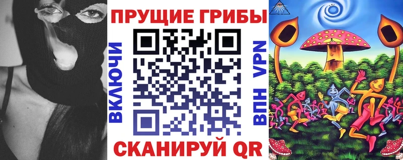 Купить где  Шарыпово  Псилоцибиновые грибы GOLDEN TEACHER 